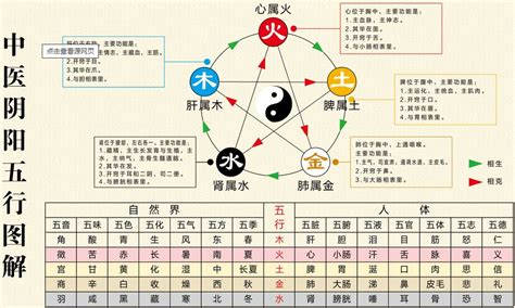 水代表|探秘五行学说：水元素的意象与独特属性